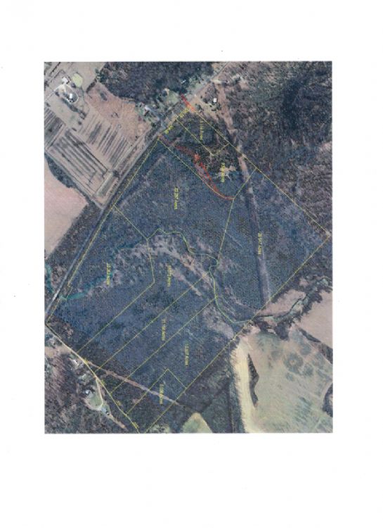 Kentucky Land Company